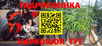шишки Малоярославец